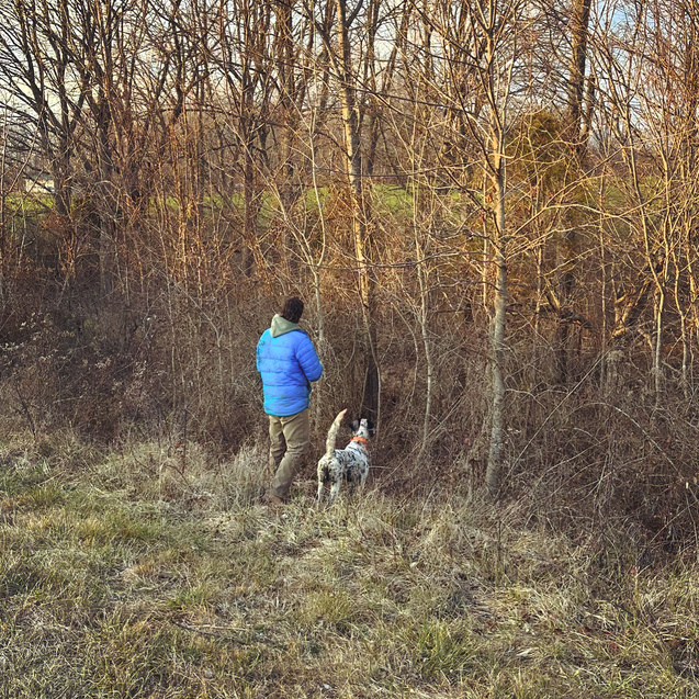 Dog with man , Backcountry ​Shooting Preserv​e
