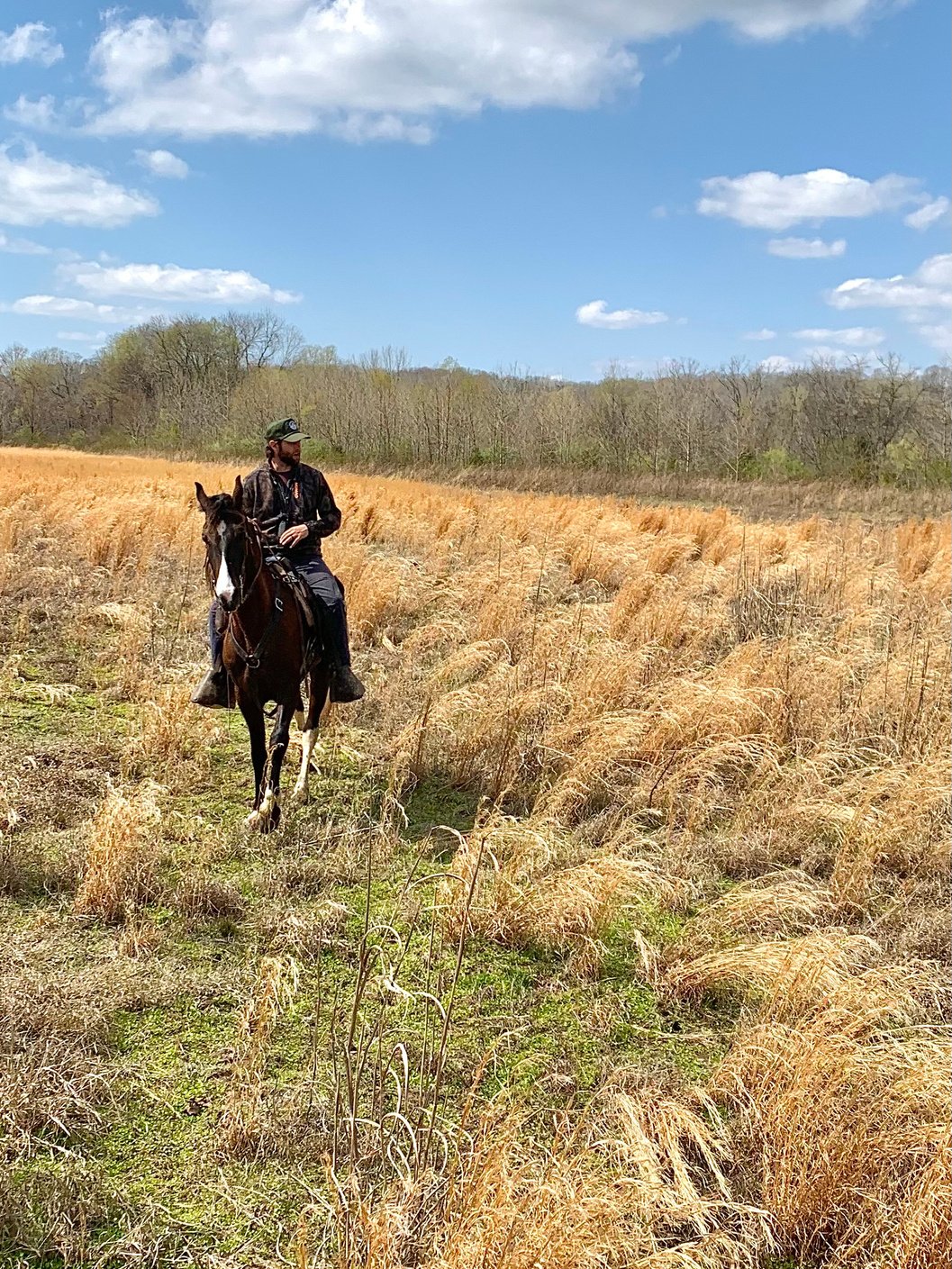 man on hourse hunting quail